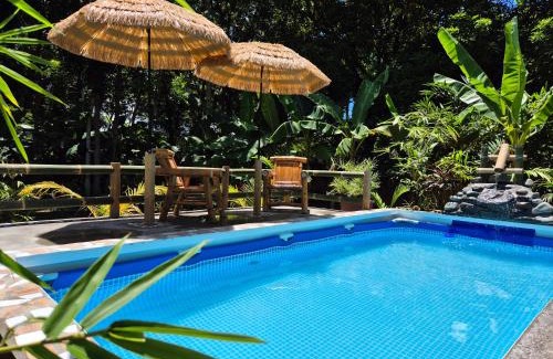 San Pedro Cama Y Desayuno | Amazing Ocean View Treehouse & Pool