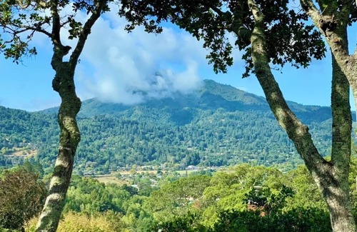 Greenbrae Casa | Amazing View Home in Marin - Close to SF and Napa