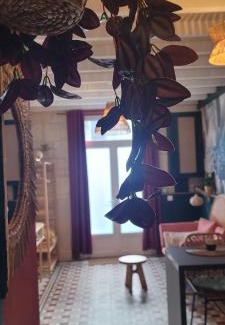 Saint-Antoine Apartamento | Amazo nid Appartement exotique proche de Bordeaux