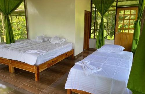 Leticia Hotel | Amazon Açaí Lodge
