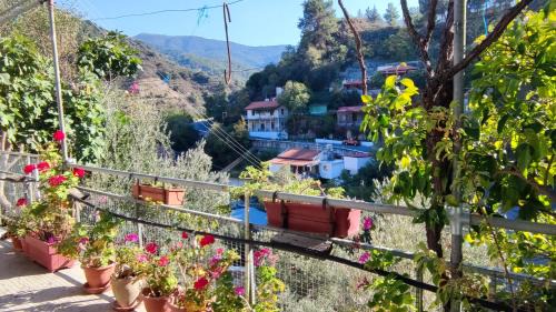 Kalopanayiotis Casa | Ambeli - Ambeloui