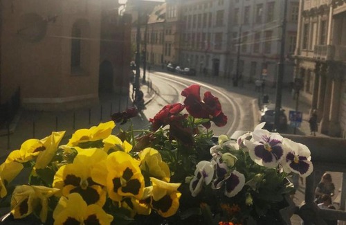 City Centre Apartamento | AMBER Guest Rooms