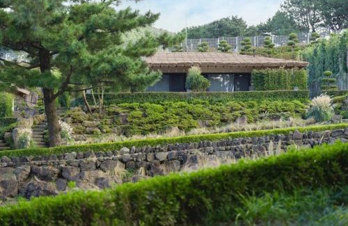 Nohyeong-dong Hotel | Amber Pure Hill Hotels & Resorts Jeju