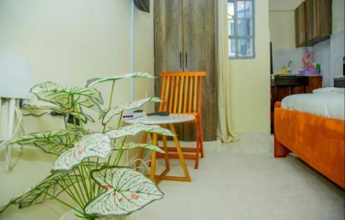 Nanyuki Apartamento | Amber Studio with Netflix and WI-FI