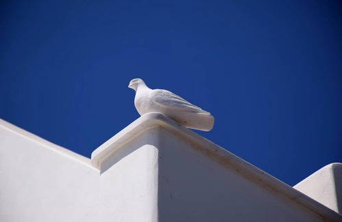 Panormos Apartamento | Amberi, Tinos in Panormos