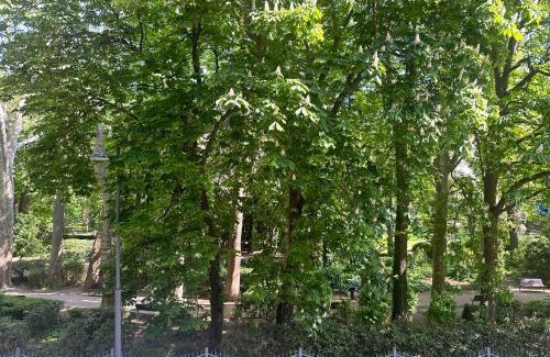 Roiano-Gretta-Barcola-Cologna-Scorcola Apartamento | Ambra Central Park - Giulia 19