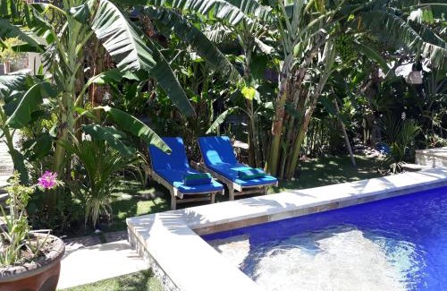 Amed Cabina | Amed Sudi House