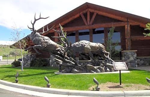 Cody Hotel | AmericInn by Wyndham Cody