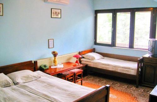Dimitrovgrad Cama Y Desayuno | Amfora Rooms Caribrod