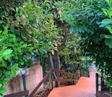 Salsomaggiore Terme Hotel | Amica