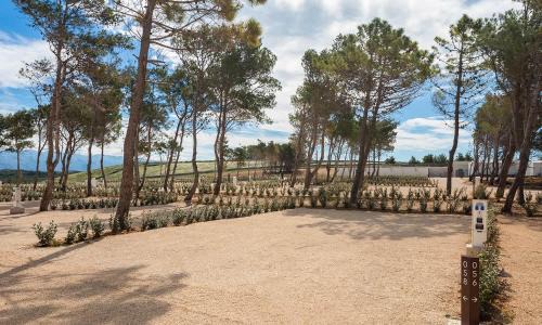 Povljana Otro | Aminess Style Camping Avalona Resort - Pitches