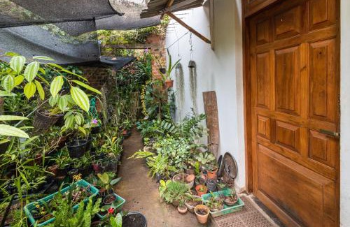 Tennekumbura Casa | Amma's Homestay