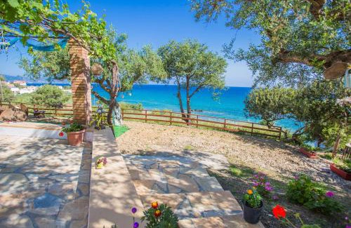 Alikanas Apartamento | Ammos Apartments