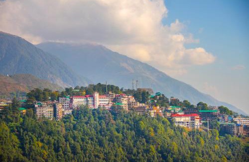 Dharamshala Complejo | Amritara Surya - A Luxury Spa Retreat