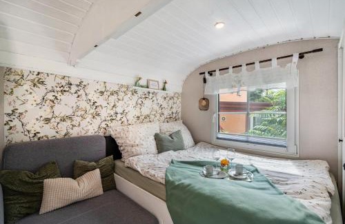 Oelsnitz Casa | Amselnest