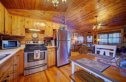 Ellijay Cabina | Amy's Blue Ridge Mtn & Starlight View