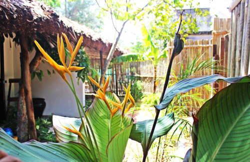 Cam An Casa | An Bang Purple Homestay