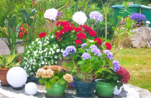 Berthelsdorf Apartamento | An-der-Bastei-I-Mit-Garten
