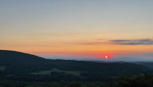Morganton Casa | An Owl's Perch