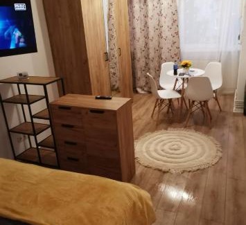 Tirgu Mures Apartamento | Ana Studio