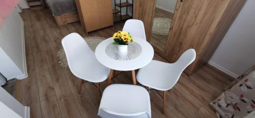 Tirgu Mures Apartamento | Ana Studio
