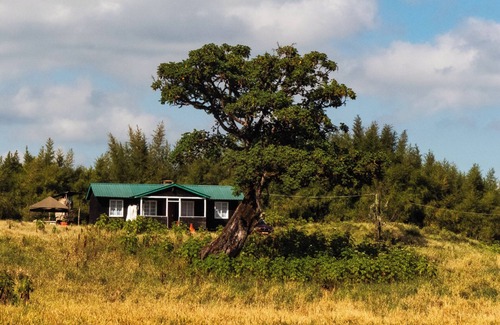 Nanyuki Cabina | Anabas Mount Kenya Lodge