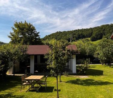 Viseu de Sus Casa | Anahouse