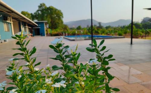 Khalapur Complejo | Anant Baugh resort