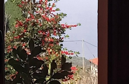 Makrirrakhi Casa | Anastasia's Cottage in Pelion