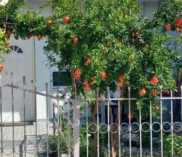 Nea Peramos Casa | Anastasia’s Home