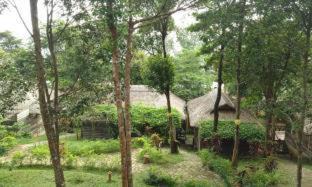 Ong Lang Complejo | Ancarine Beach Resort