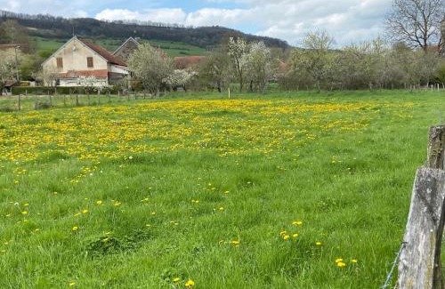 Jailly-les-Moulins Casa | Ancienne ferme Bourguignonne en bord de rivière, grand terrain arboré, et clos