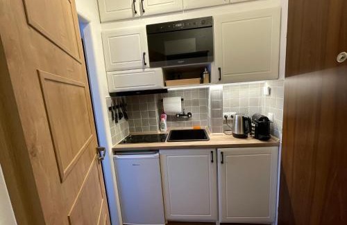 Andel Apartamento | Andel Studio with terrace