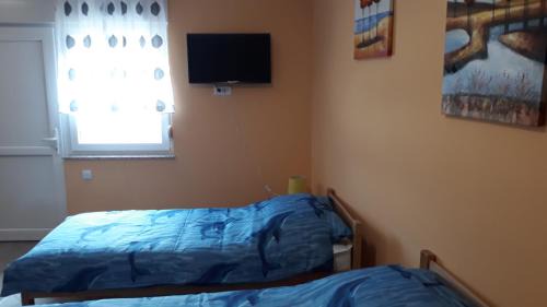 Vojvodina Apartamento | Andi Apartman