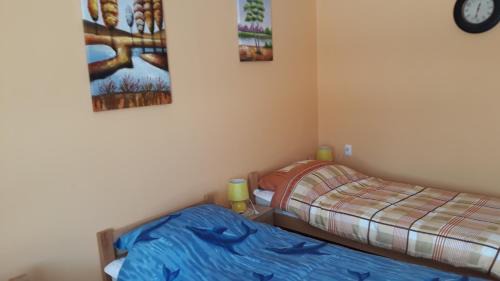Vojvodina Apartamento | Andi Apartman