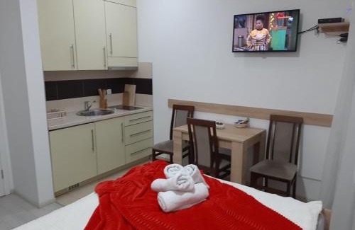 Banja Koviljaca Apartamento | Andora