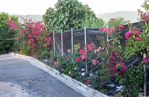Valira Casa | Andreas House