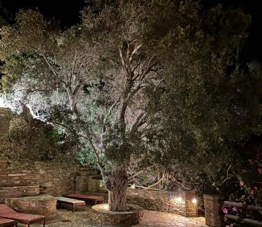 Megas Yialos-Nites Casa | Andros Escape Condos