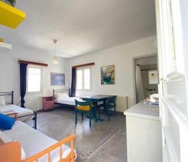 Andros Town Apartamento | Andros Vineyard house with sea view