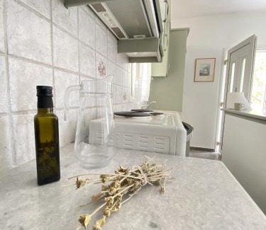 Andros Town Apartamento | Andros Vineyard house with sea view