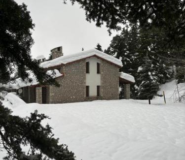 Kato Pedina Chalet De Esquí | Anemoria Chalets-Castalia Chalet