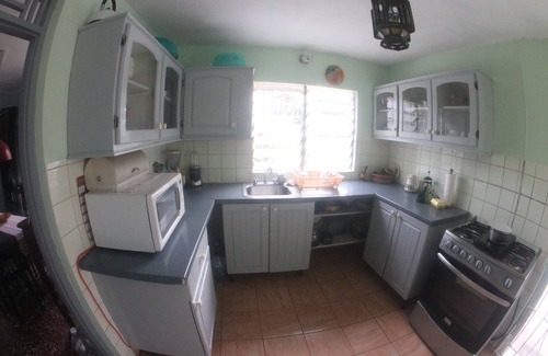 Ocho Rios Apartamento | Angel Fish Beach Suites - Turtle Tower
