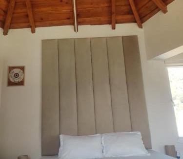Amritpur Casa | Angel Villa