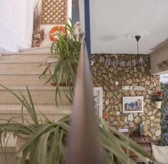 Agios Andreas Hotel | Angelika Inn