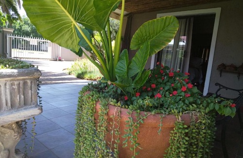 Welkom Casa | Angels Creek guesthouse