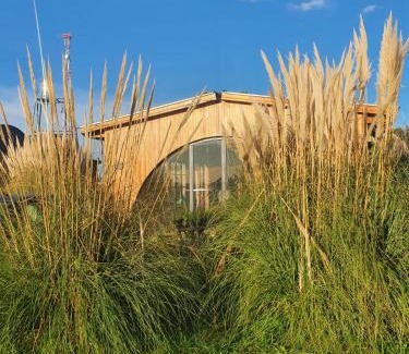 Colonia de Chapadmalal Hotel | Angiru