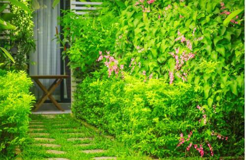 Wat Bo Area Cama Y Desayuno | Angkor Home 27