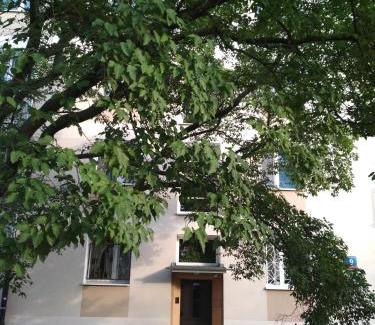 Muranow Apartamento | Anielewicza 9