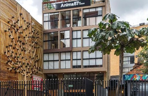 Chapinero Apartamento | Anima 57