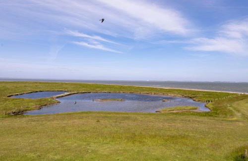 Hallig Langeneß Hotel | Anker's Hörn - Hotel & Restaurant auf der Hallig Langeness